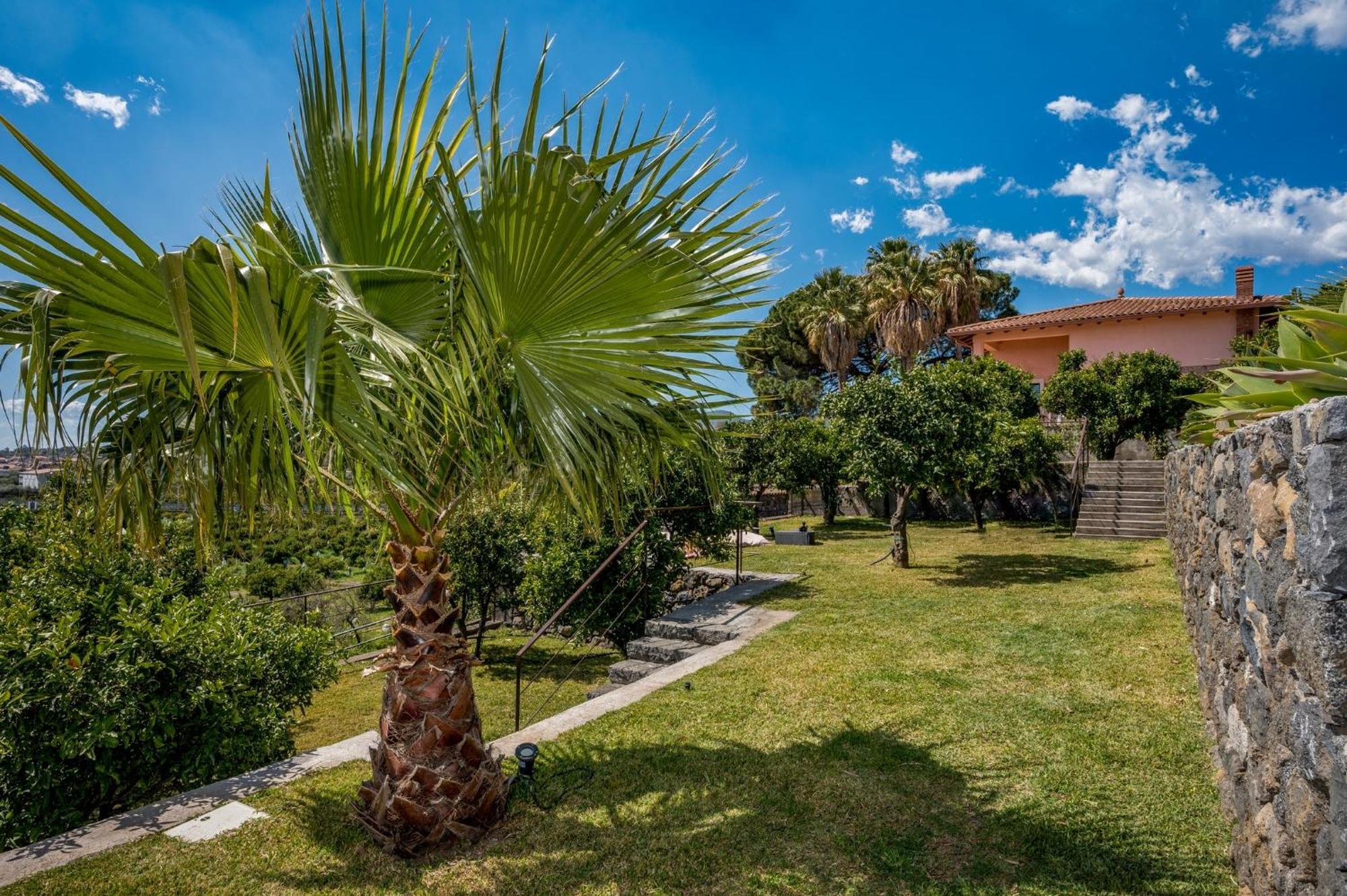 Agrume Country House Santa Venerina Dış mekan fotoğraf