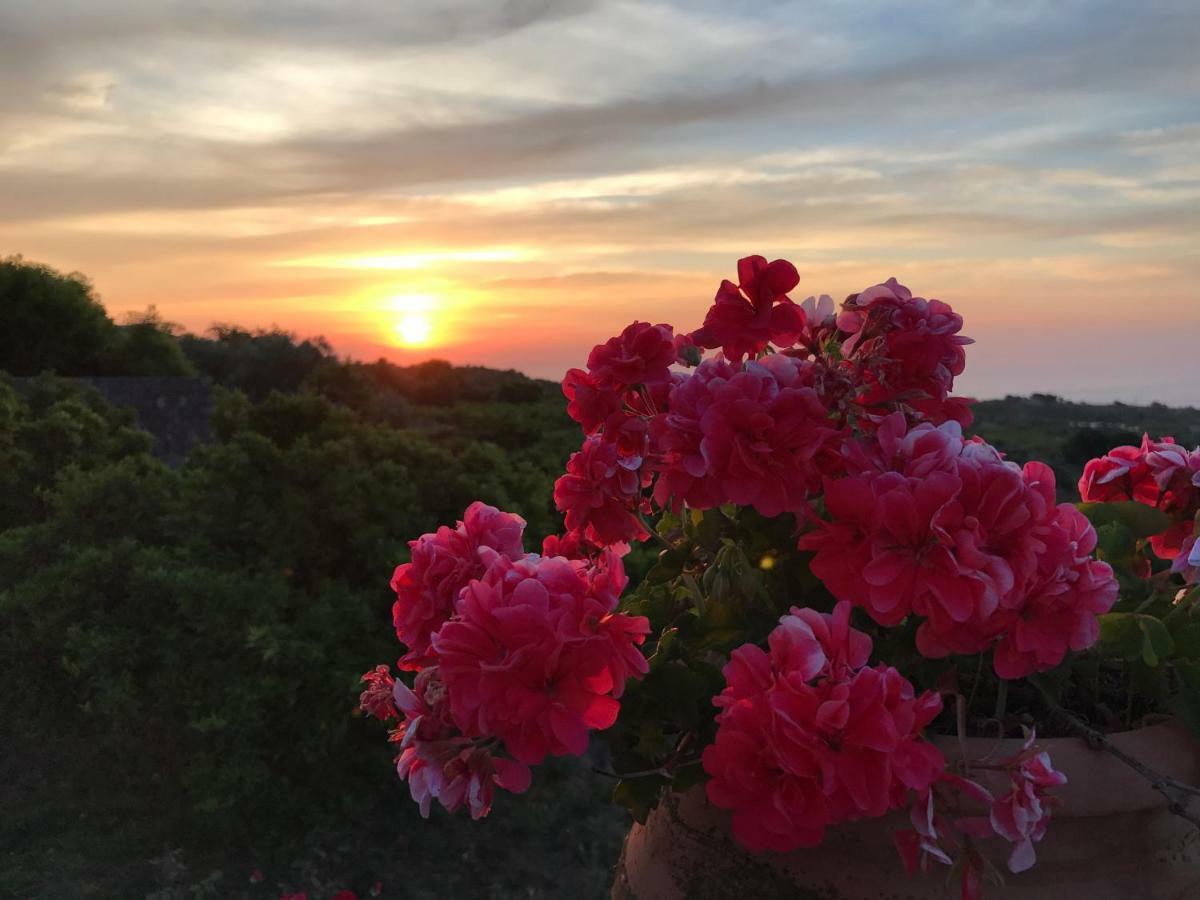 Agrume Country House Santa Venerina Dış mekan fotoğraf