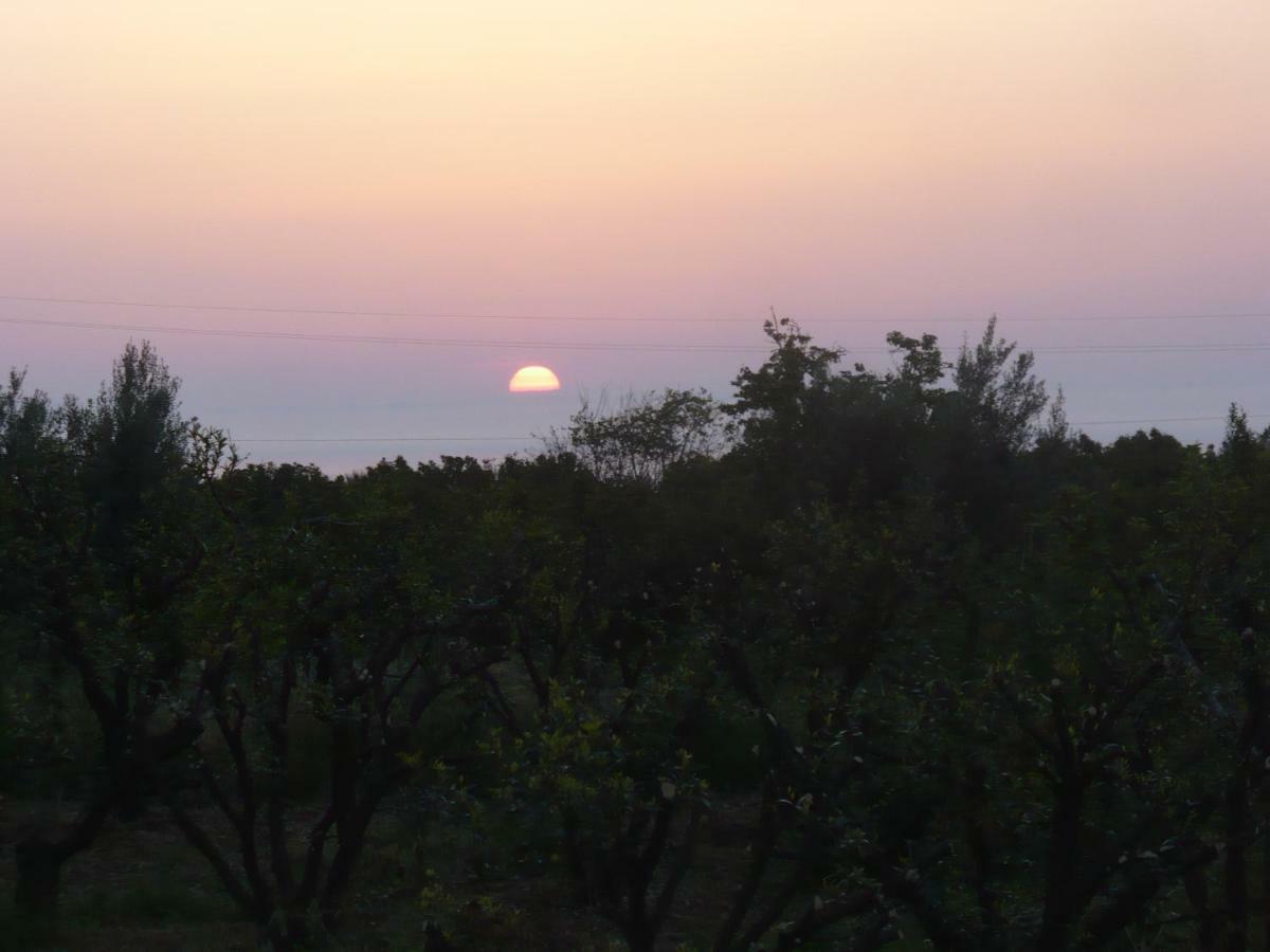 Agrume Country House Santa Venerina Dış mekan fotoğraf